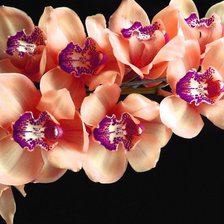 Оригинал схемы вышивки «Орхидея» (№777419)
