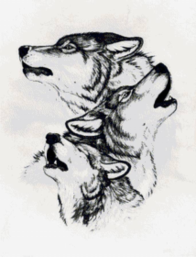 волки - волк, дикие животные - предпросмотр