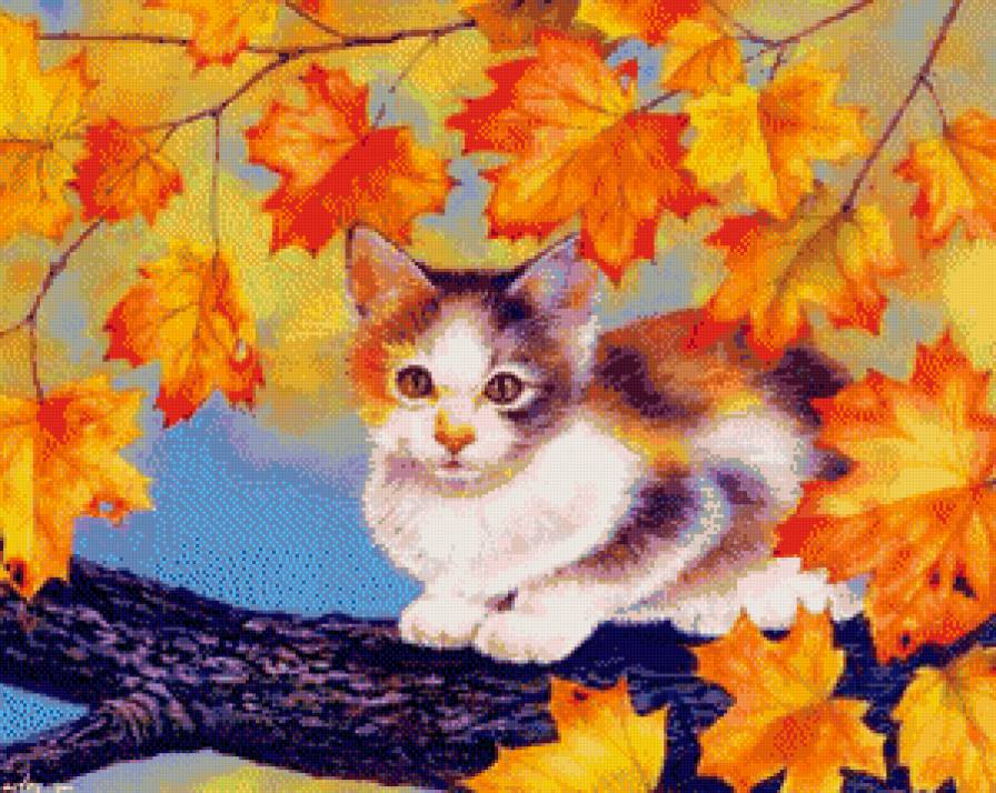 котенок - осень, кошка, котята, котик, кот, животные, кошки - предпросмотр