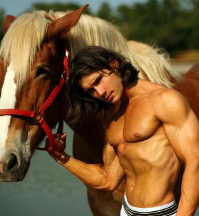 парень - парни, он, лошадь, кони, мужчины, лошадка, торс, животные, лошади - оригинал