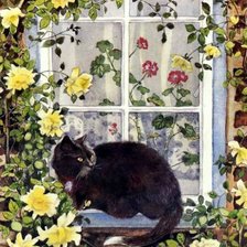 Оригинал схемы вышивки «кот на окне» (№777877)