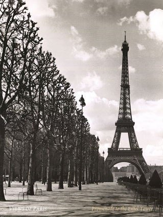 Париж - париж, город, черно-белое, природа - оригинал