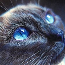Схема вышивки «голубые глаза»