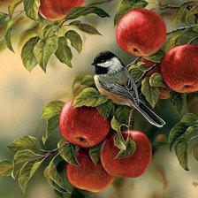 Схема вышивки «птичка на яблоках»