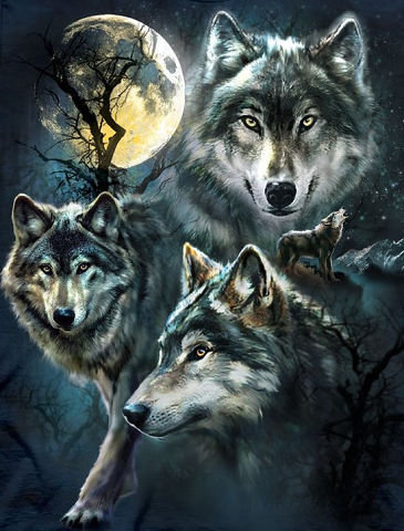Волки - животные, волки, лес - оригинал