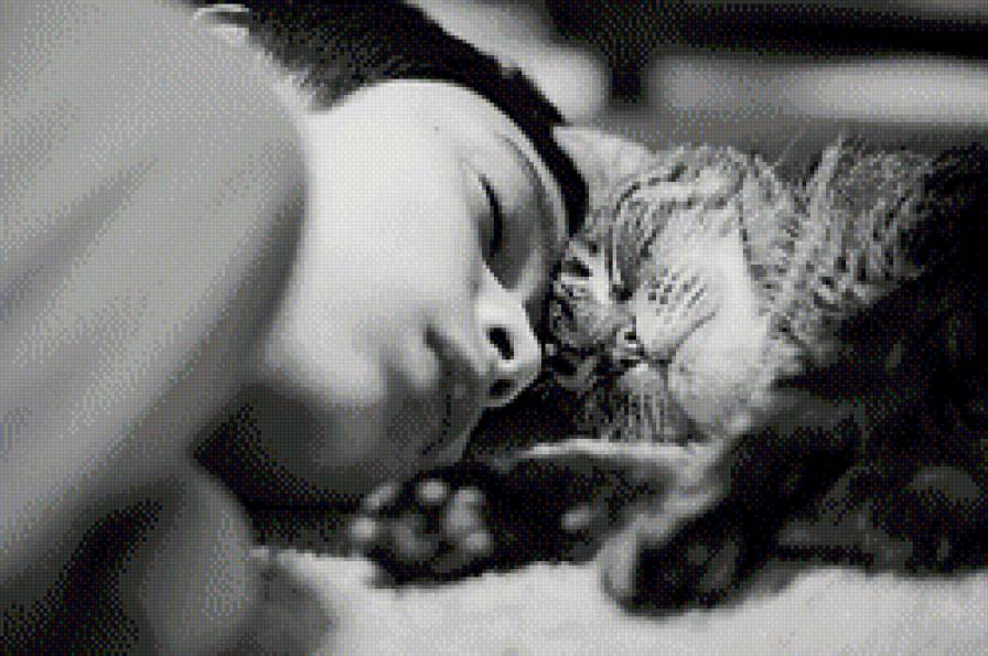 Сладкий сон (монохром) - котенок, монохром, мальчик, сон, ребенок - предпросмотр
