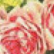 Предпросмотр схемы вышивки «Рзовые розы панно» (№779473)