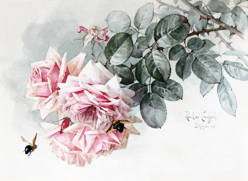 "Роза" от Ланарте - художники, роза, картина, живопись - оригинал