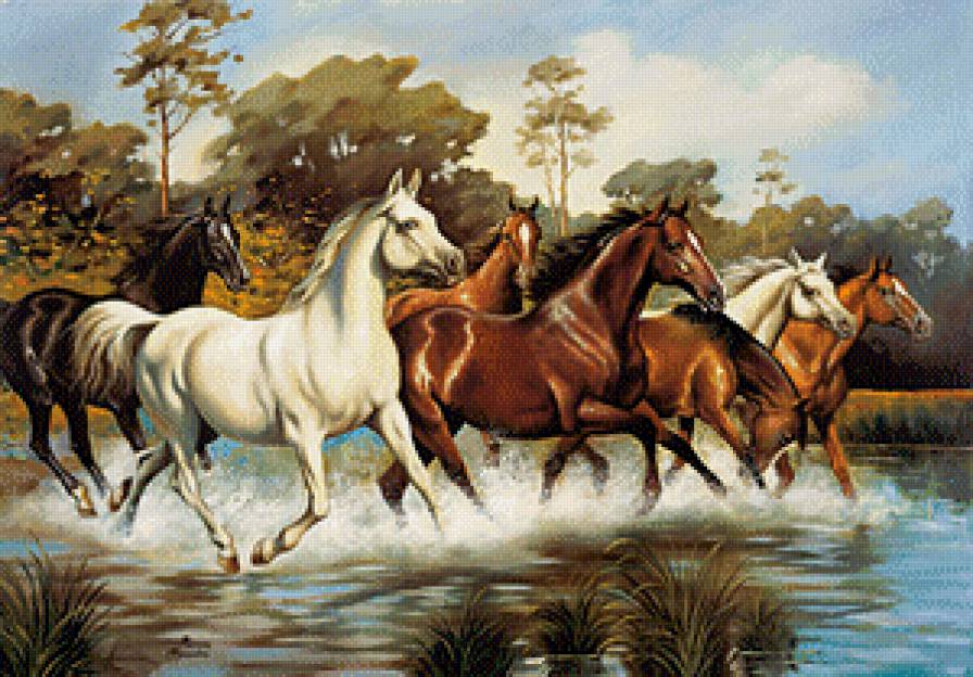 бегущие кони - табун - предпросмотр