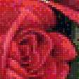 Предпросмотр схемы вышивки «розы» (№780475)
