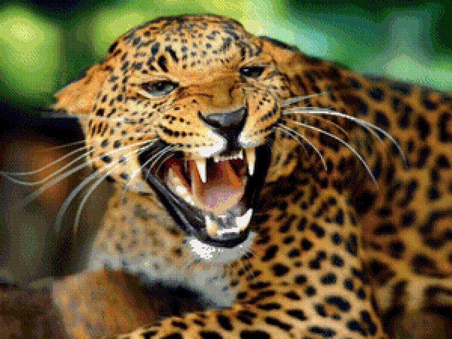 леопард - кот, большие кошки, леопард, животные - предпросмотр