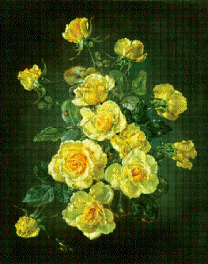 Желтые розы - розы, букет - предпросмотр