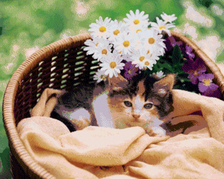 Кошечка на счастье - кошки, счастье, в корзине, животные - предпросмотр