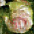 Предпросмотр схемы вышивки «розы в прозрачной вазе фуджико» (№780867)