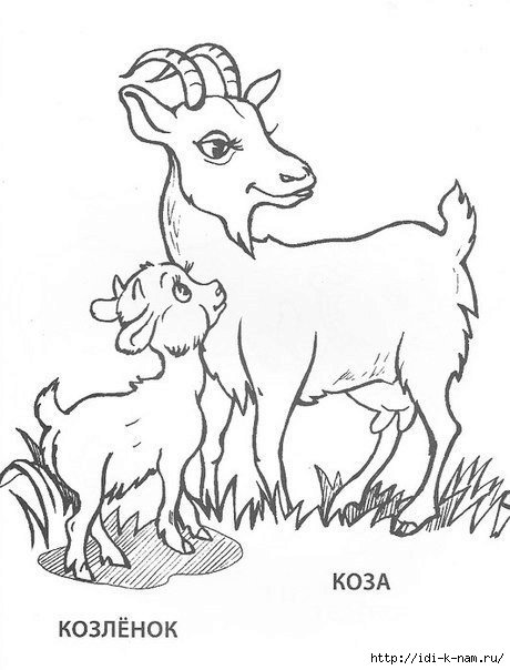 коза с козленком - оригинал