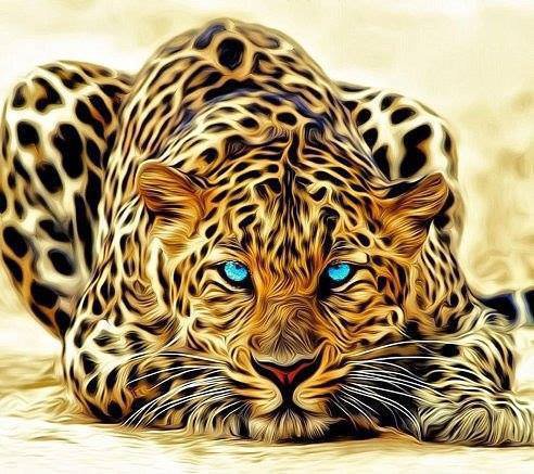 леопард - оригинал