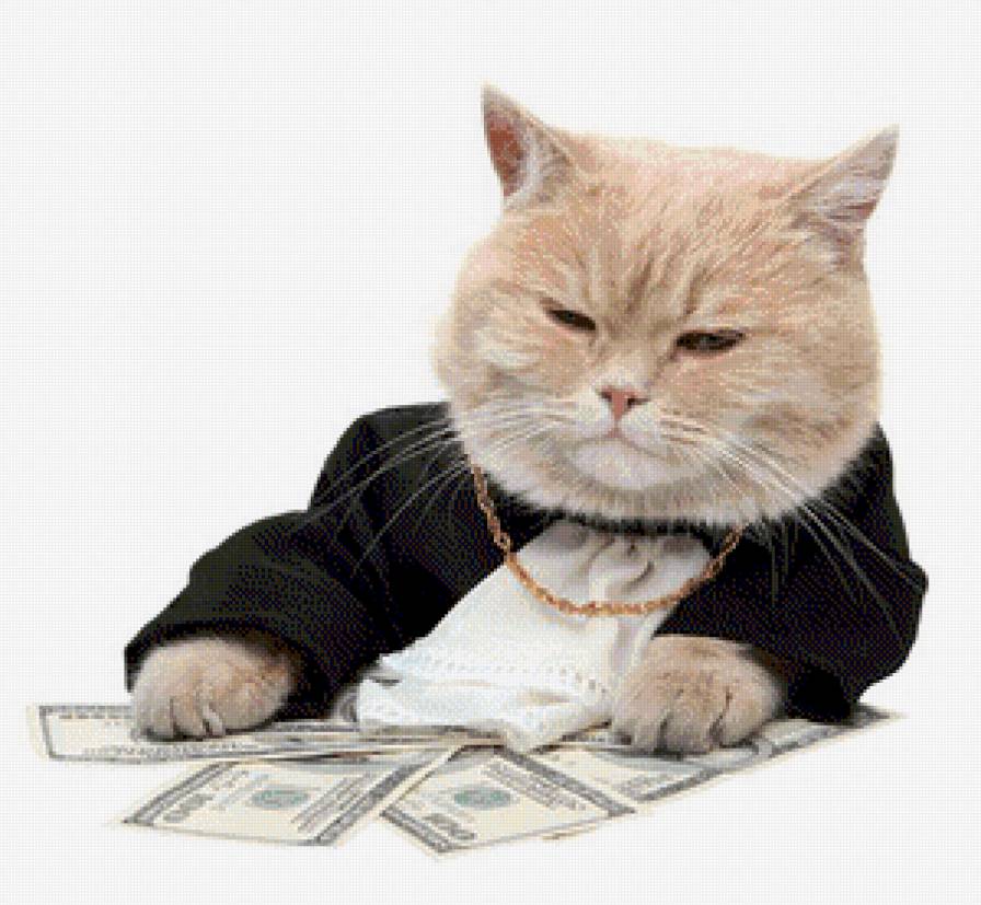 кот милионер - деньги, кот, животные - предпросмотр