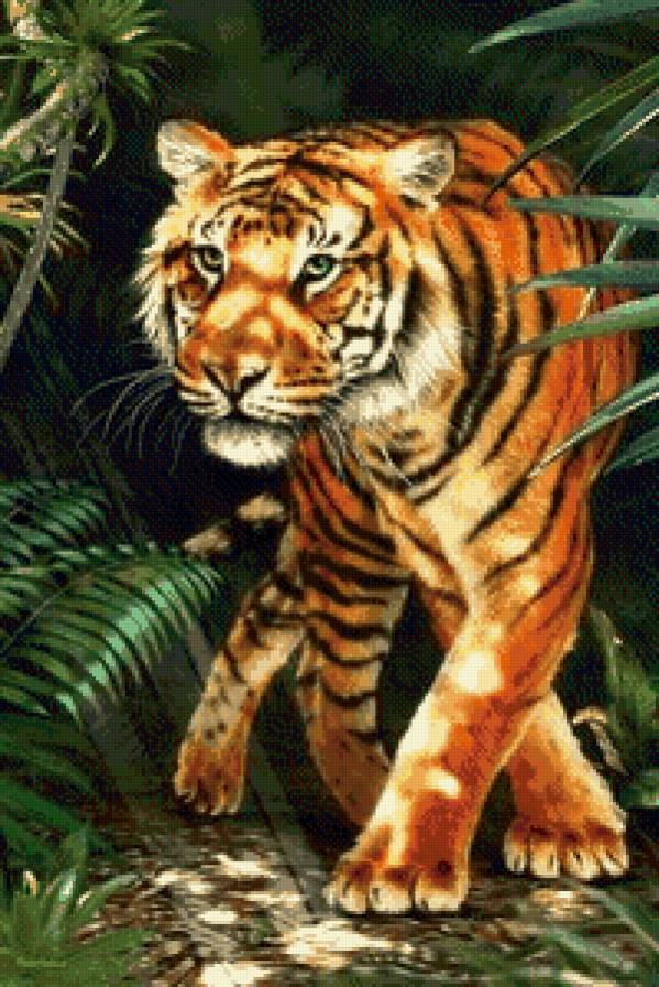 тигр - дикие животные, тигр - предпросмотр