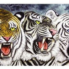 Оригинал схемы вышивки «тигры» (№784193)
