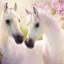 Схема вышивки «лошади белые»