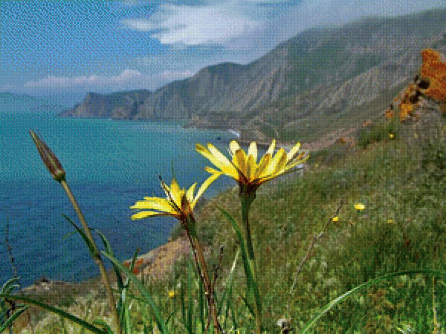 Крымские горы - цветы, россия, горы, крым, море - предпросмотр