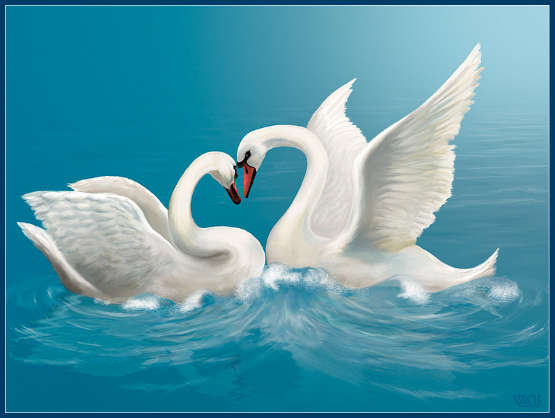 лебединая любовь - лебеди, пара, птицы - оригинал