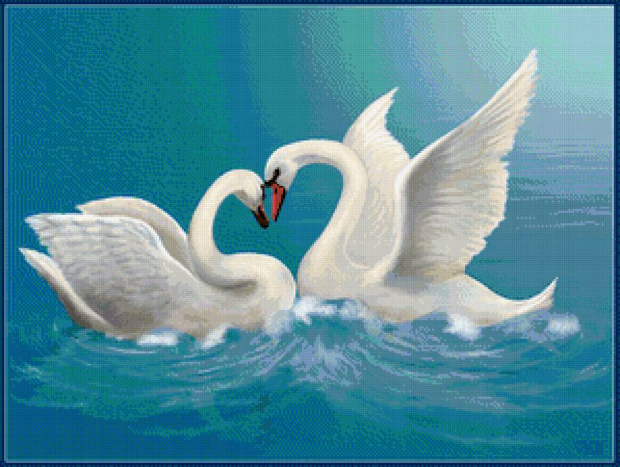 лебединая любовь - лебеди, пара, птицы - предпросмотр