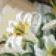 Предпросмотр схемы вышивки «цветочек в цветах» (№786146)