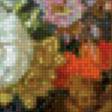Предпросмотр схемы вышивки «попугайчики в цветах» (№786535)