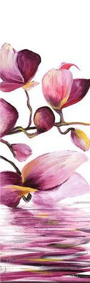 розовые орхидеи - 3 - орхидеи - оригинал