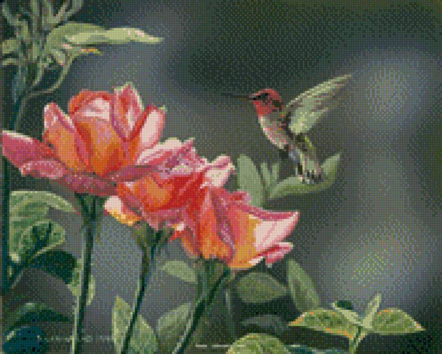 художник Susan Labouri 1 - цветы, природа, картина, лето, красота, птицы, розы - предпросмотр