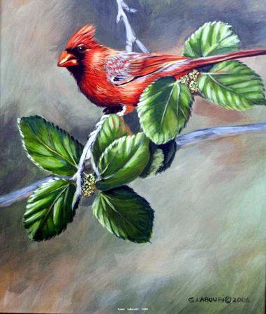 художник Susan Labouri 2 - птицы, природа, красота, цветы, картина, лето - оригинал
