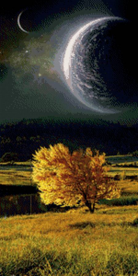 лунная ночь - осень, природа, ночь - предпросмотр