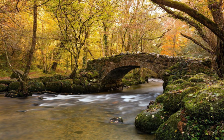 каменный мост - времена года, осень, мост, пейзаж, река, парк - оригинал