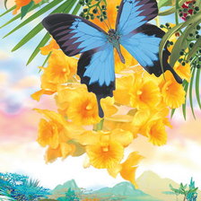 Оригинал схемы вышивки «Бабочка и цветы» (№787792)