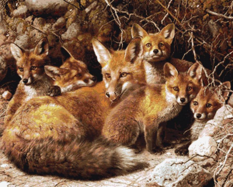 семья лисы - лисята, семья, лиса, лес, животные - предпросмотр