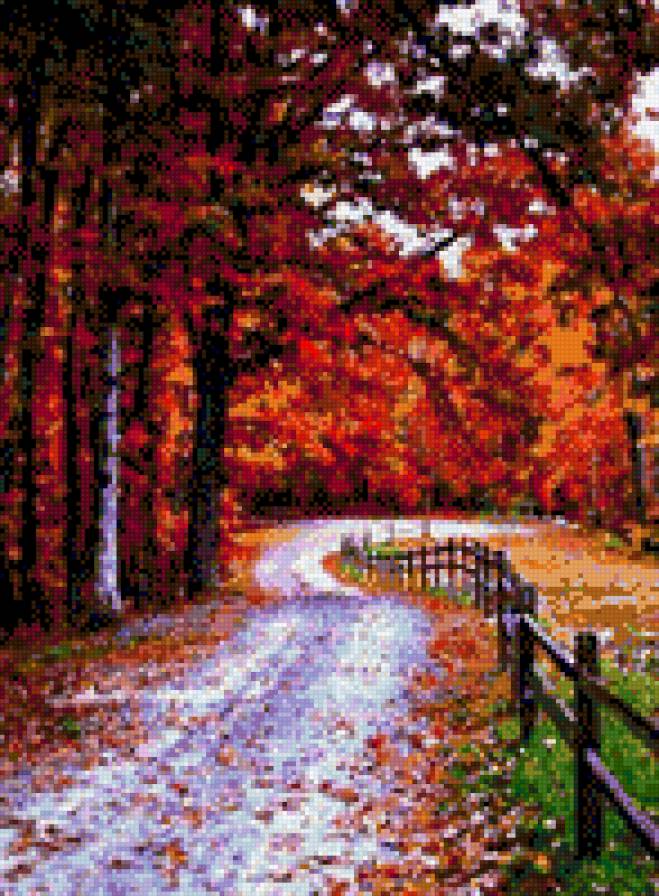 красная осень - природа, красный, осень, деревья, похолодание, оранжевый - предпросмотр