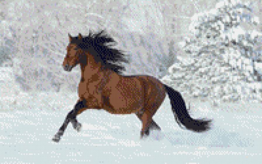 Лошадь на снегу - предпросмотр