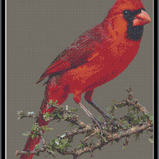 Оригинал схемы вышивки «Красный кардинал» (№790360)