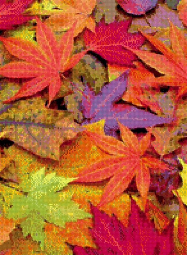 Буйство красок. - ярко., листья, осень - предпросмотр