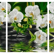 Оригинал схемы вышивки «триптих орхидеи» (№791361)