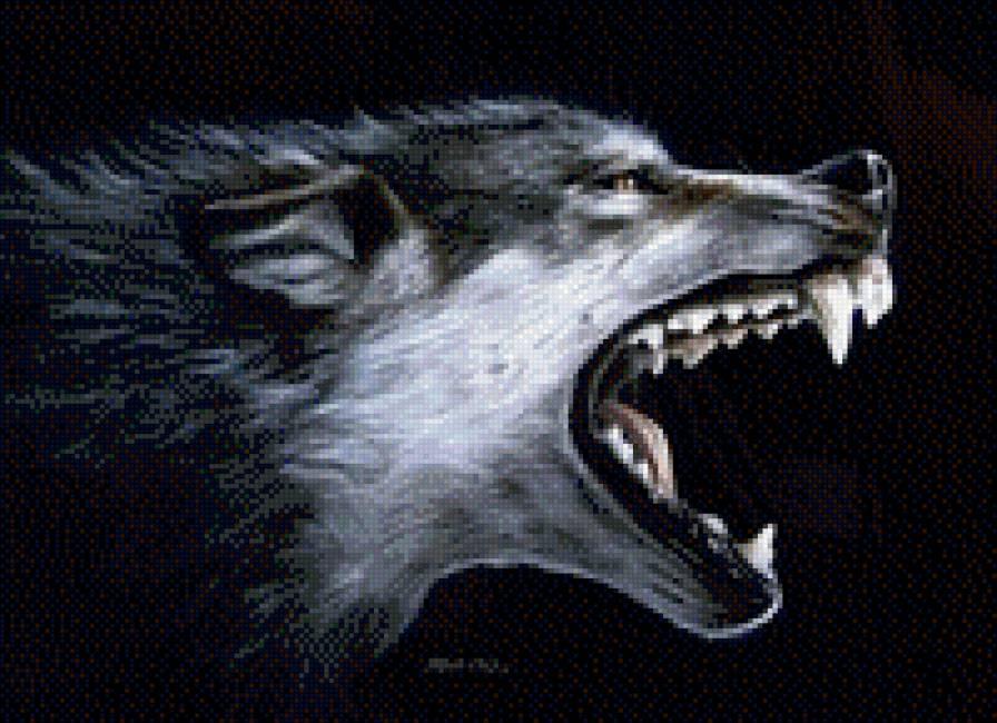 Волчий оскал - животные, волк, звери - предпросмотр