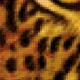 Предпросмотр схемы вышивки «леопард» (№792299)
