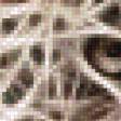 Предпросмотр схемы вышивки «Леопард.» (№792346)