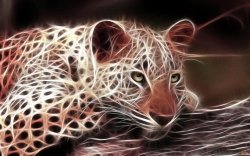 Леопард. - леопард, природа, животные - оригинал