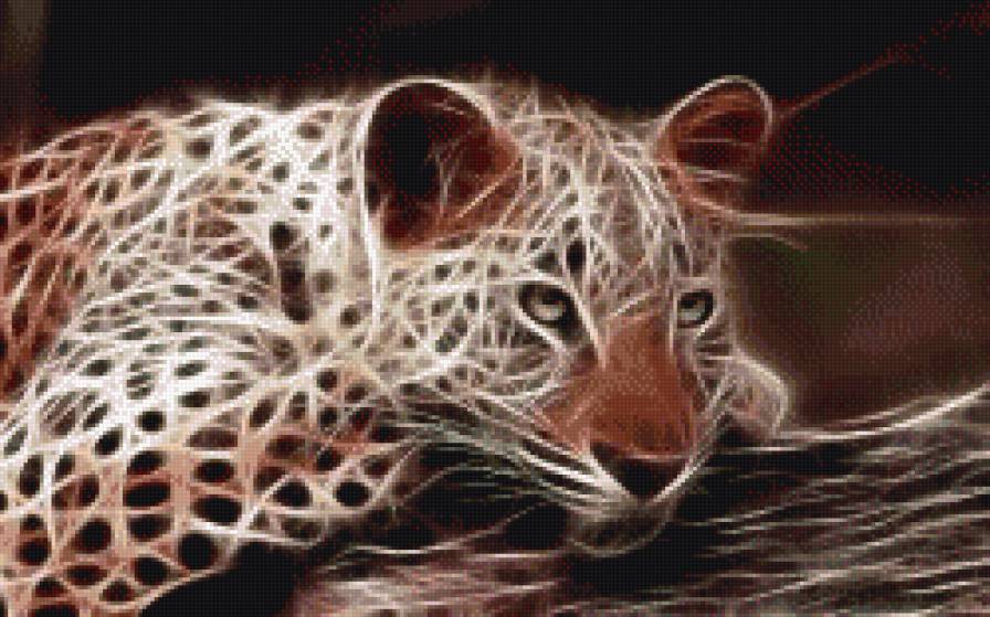 Леопард. - леопард, животные, природа - предпросмотр