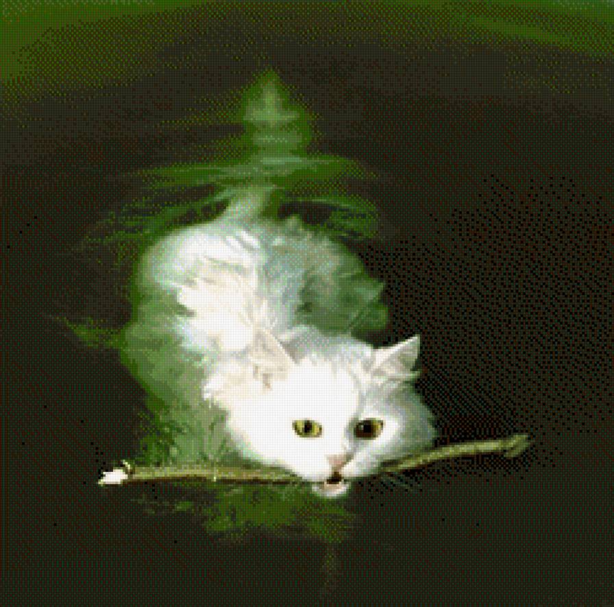 кошка в воде - предпросмотр