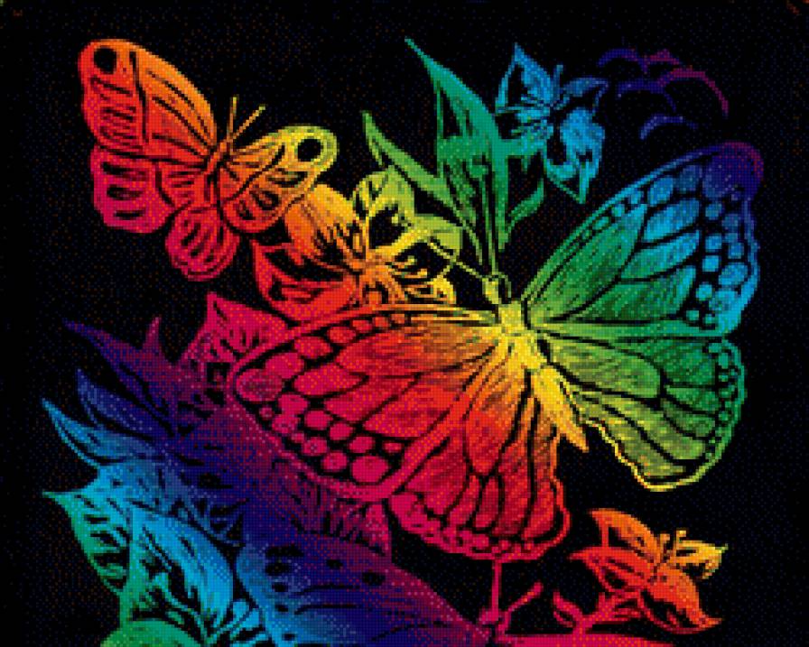 радужные бабочки - бабочка, на черном, цветок, радуга - предпросмотр