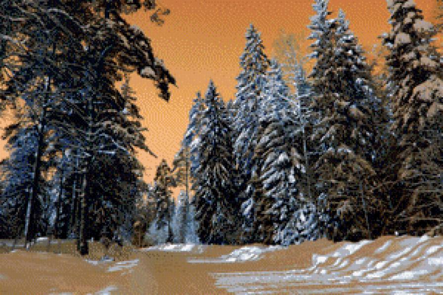 зимний вечер - времена года, зима, пейзаж, лес - предпросмотр