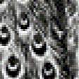Предпросмотр схемы вышивки «монохром-павлин» (№796163)